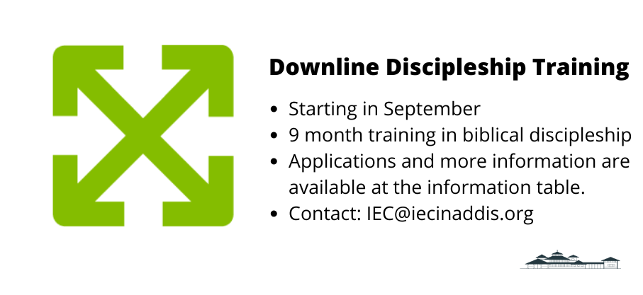Downline Discipleship Training